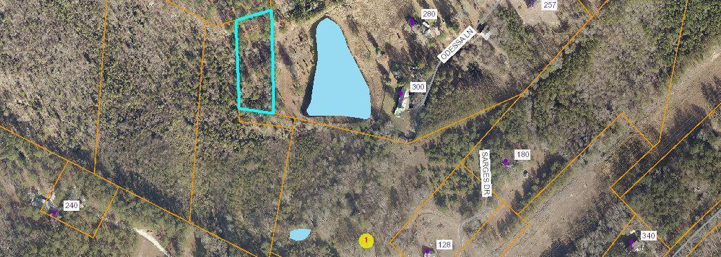 170 Jody Road Carthage, NC 28327 - Photo 4 of 7 GIS pic 4