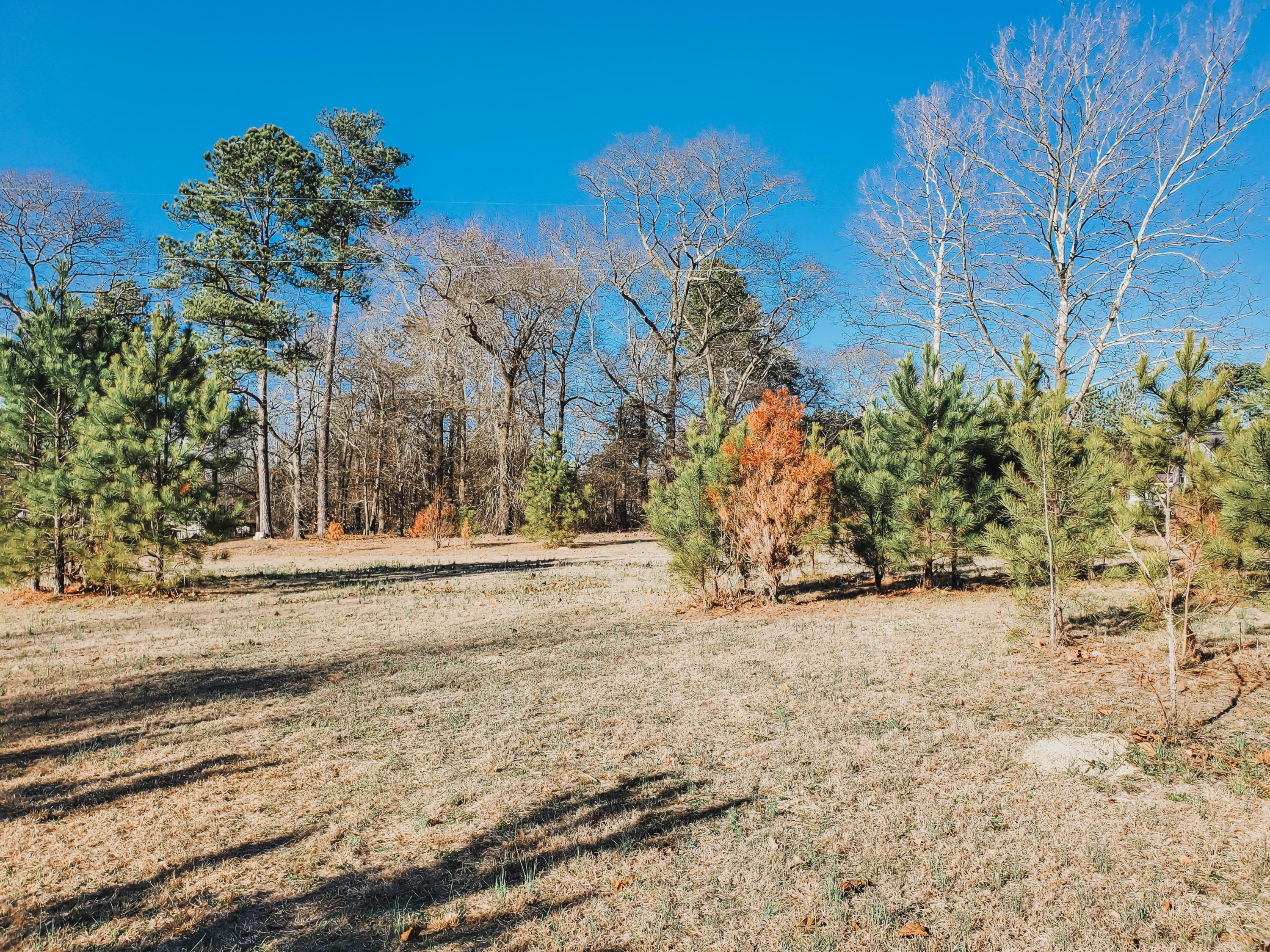 170 Jody Road Carthage, NC 28327 - Photo 6 of 7 Pic 2-2