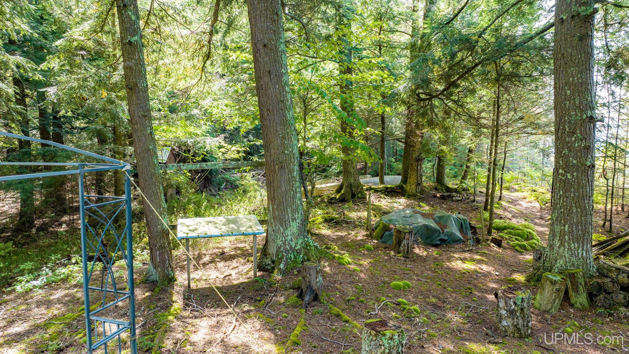 47739 Lots Road Toivola, MI 49965 - Photo 27 of 65 Gallery Image 27