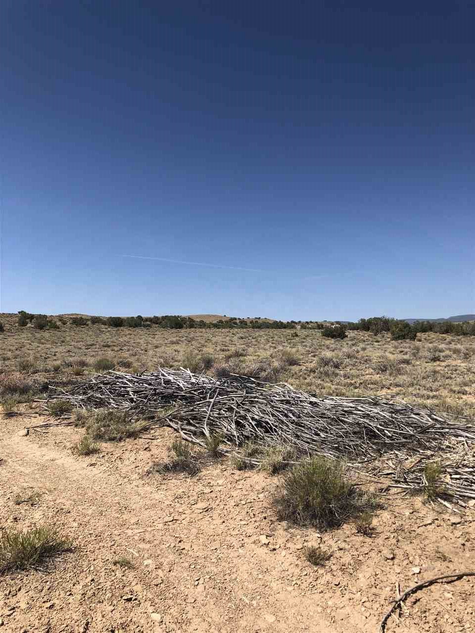 1 Desert Road Whitewater, CO 81527 - Photo 5 of 10 Gallery Image 5