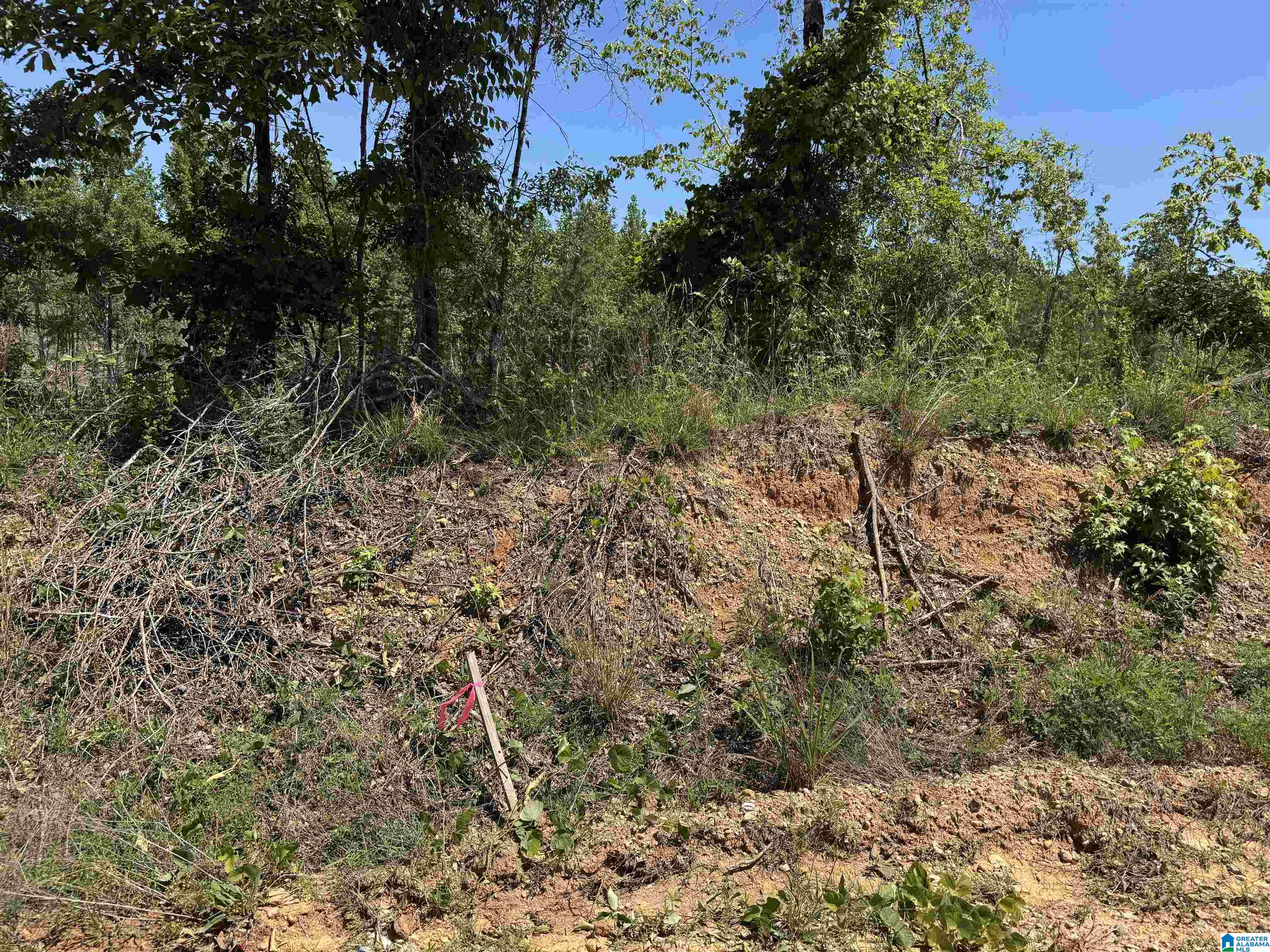 Active Road, Unit 3 Lawley, AL 36793 - Photo 17 of 20