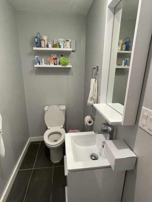 469 Massachusetts Avenue, Unit 1 Boston, MA 02118 - Photo 19 of 33 a bathroom with a sink a toilet and a mirror