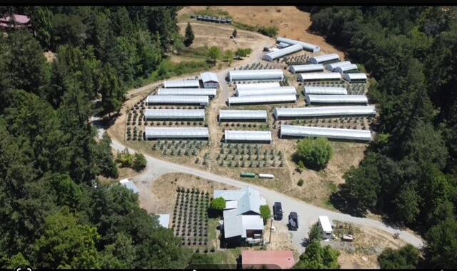35082 Alderpoint Road Blocksburg, CA 95514 - Photo 1 of 71