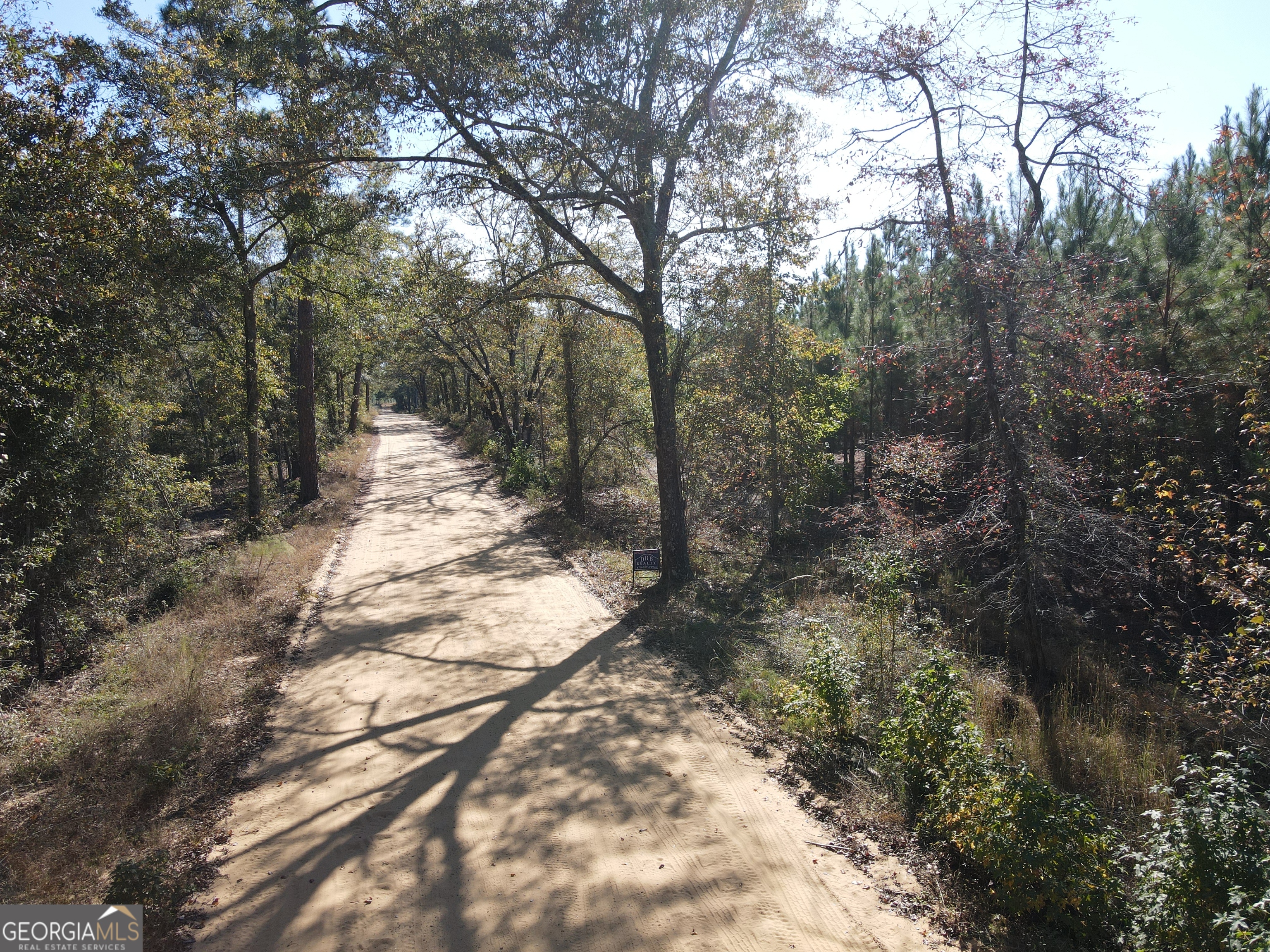 a view of a yard with trees