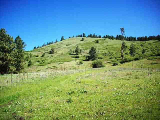 0 Finley Meadows Road Inchelium, WA 99138 - Photo 1 of 5
