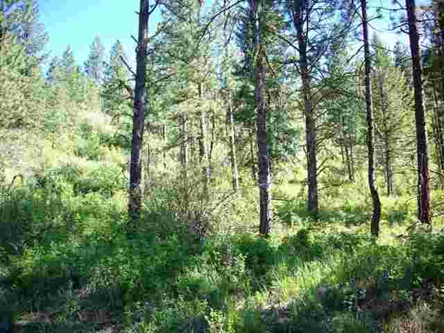 0 Finley Meadows Road Inchelium, WA 99138 - Photo 2 of 5