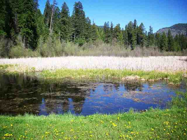 0 Finley Meadows Road Inchelium, WA 99138 - Photo 3 of 5