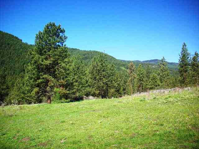 0 Finley Meadows Road Inchelium, WA 99138 - Photo 4 of 5