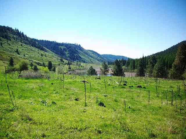 0 Finley Meadows Road Inchelium, WA 99138 - Photo 5 of 5