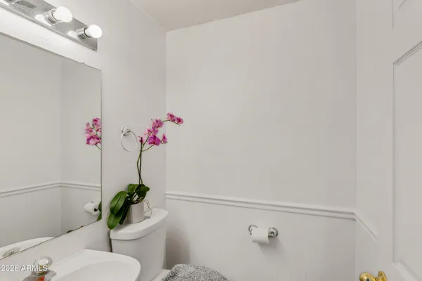 a bathroom with a shower curtain and toilet