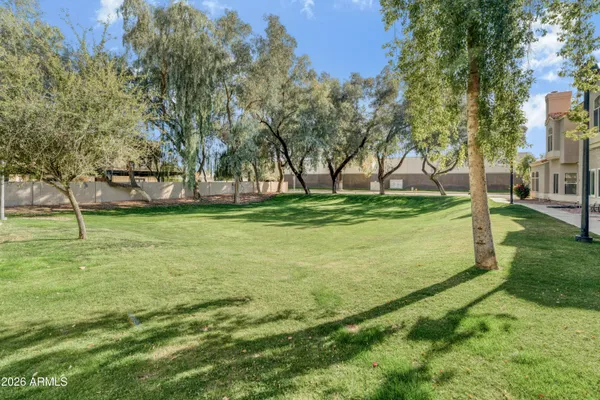 a view of a field with trees