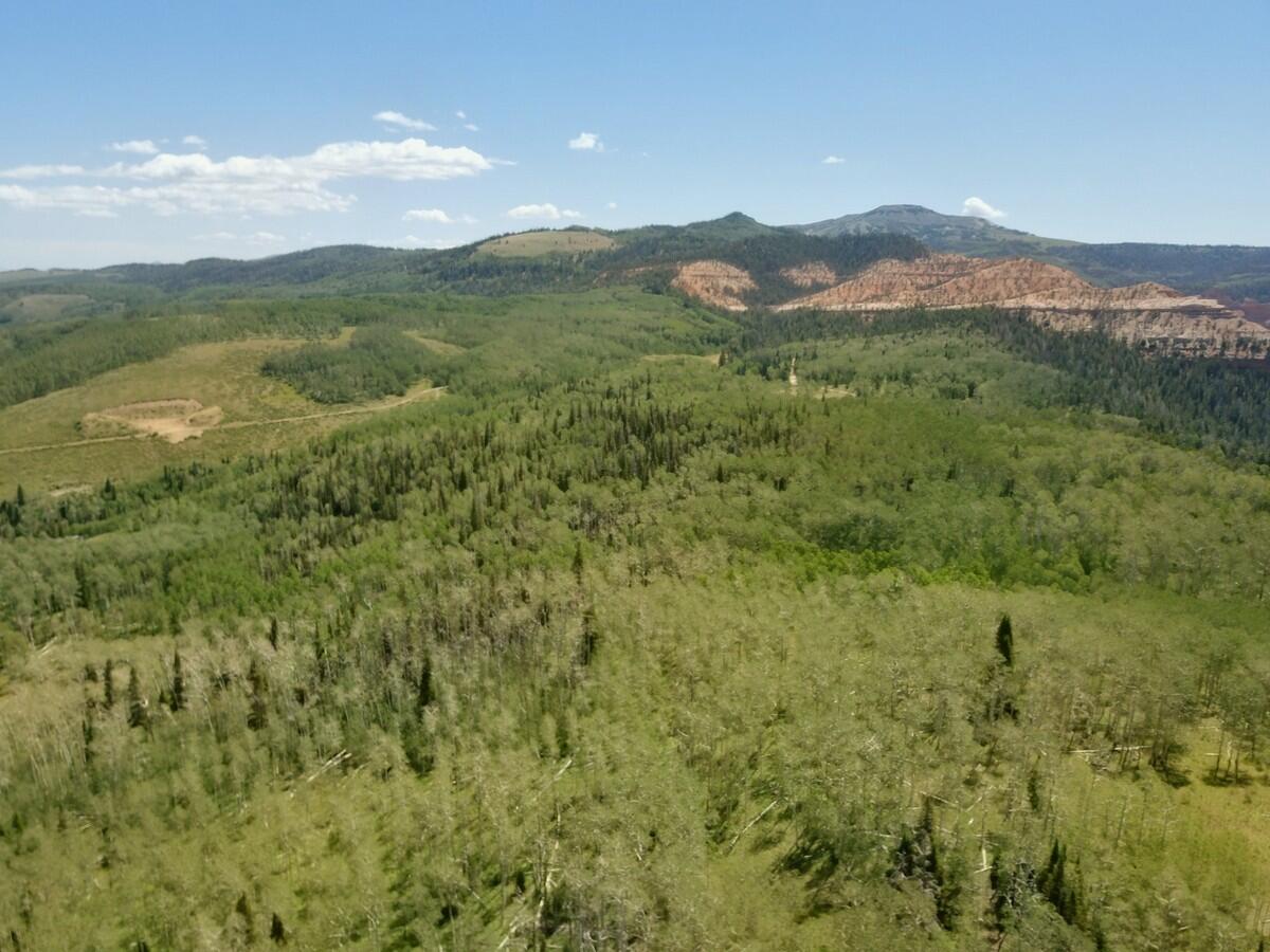 40 Acres Summit Mountain Road Brian Head, UT 84719 - Photo 24 of 32 Aerial2