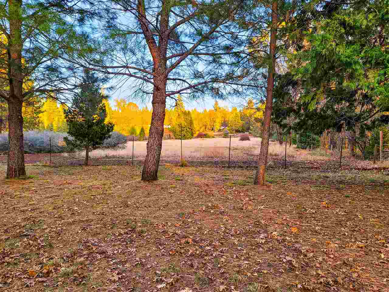 21720 Graham Road Manton, CA 96059 - Photo 9 of 31 Gallery Image 9