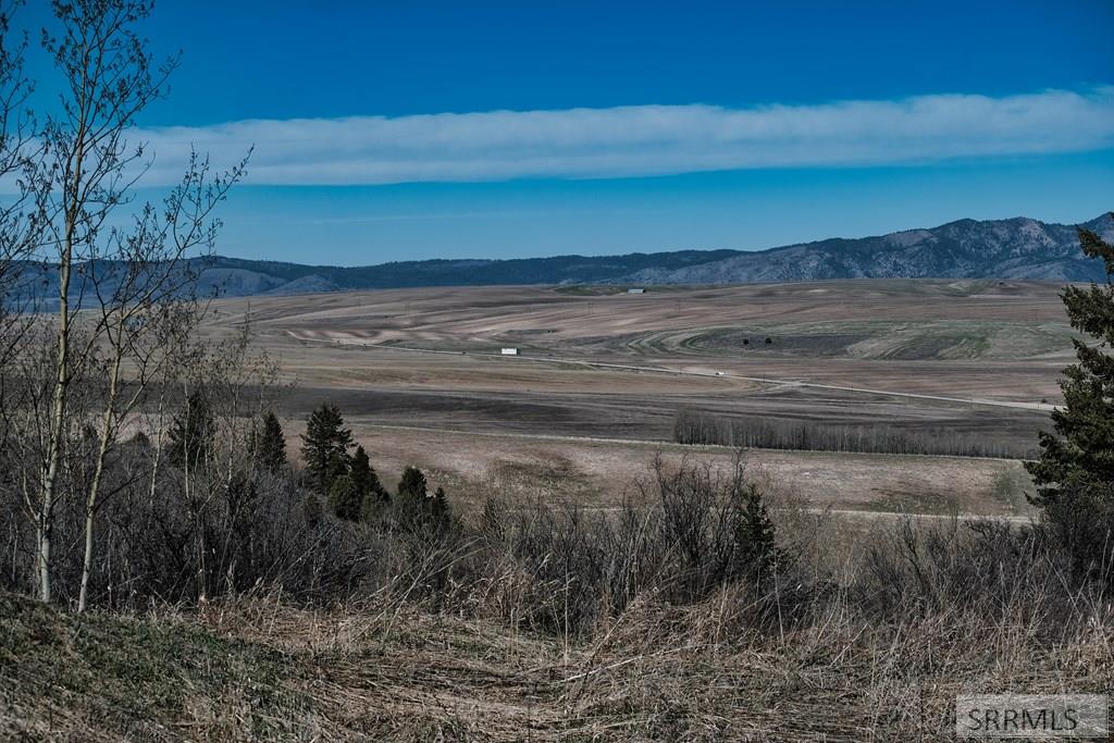 Tbd Wagon Road Ririe, ID 83443 - Photo 2 of 11