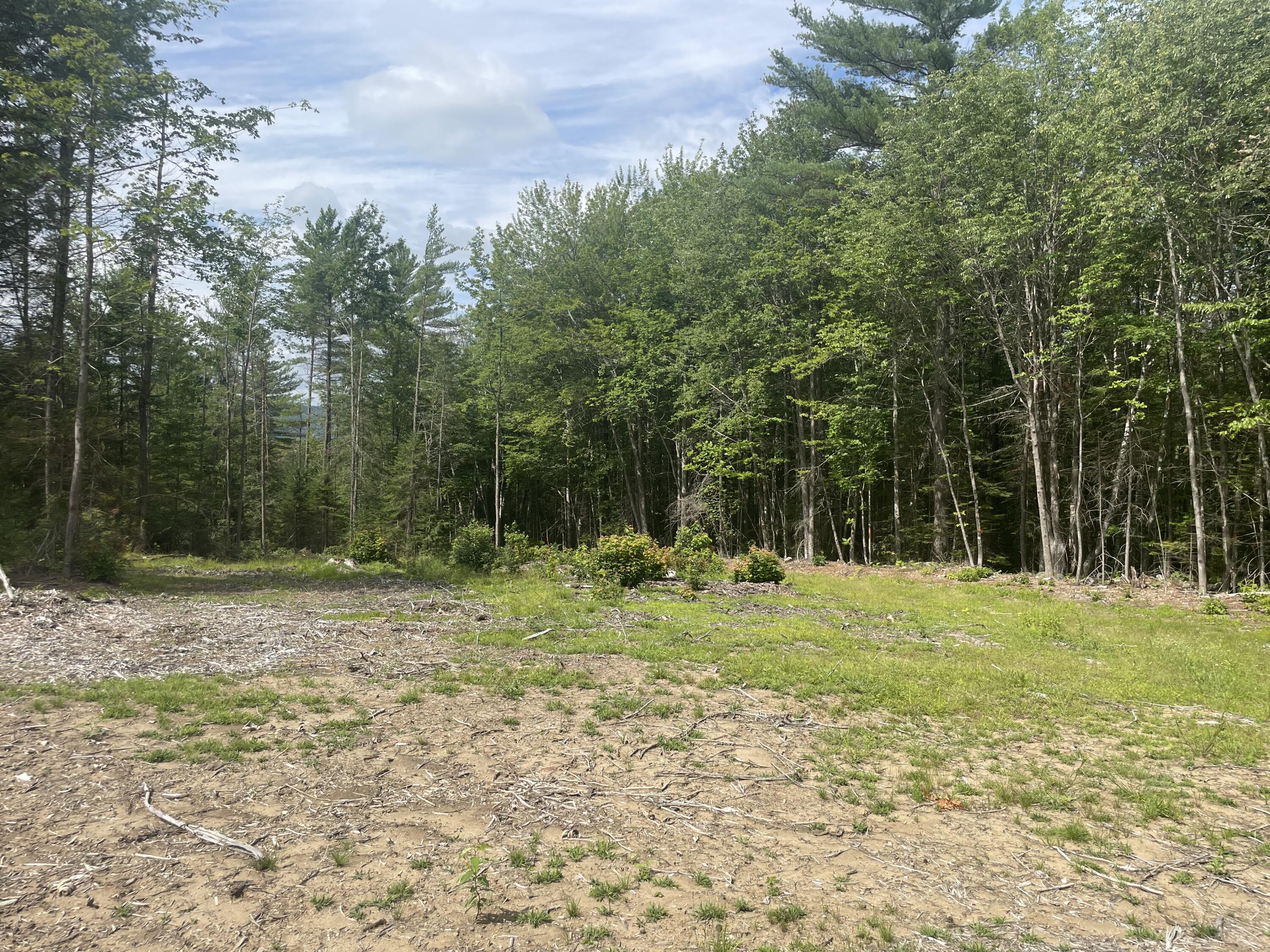 Tbd Grandview Road Bethel, ME 04217 - Photo 10 of 12 B8BC1BD5-C7F9-4AC2-866E-5B89D24E0DD2