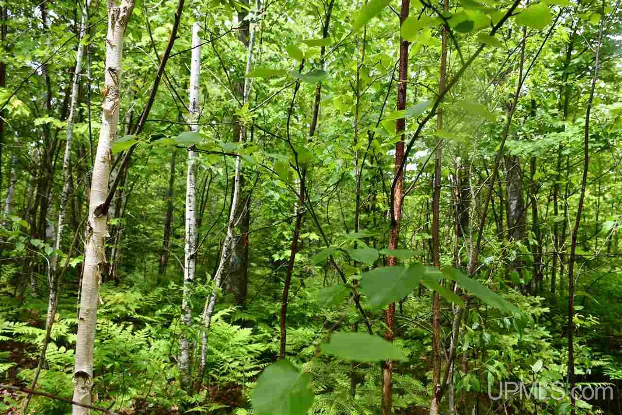 Tbd Mud Lake Road Lake Linden, MI 49945 - Photo 28 of 28