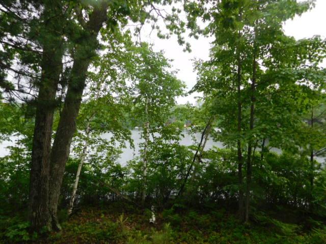Lot 4 Shore Rd Summit Summit Lake, WI 54485 - Photo 2 of 5 Gallery Image 2
