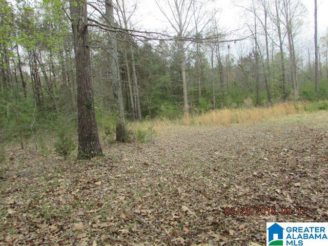 1175 Brutonville Road Jacksonville, AL 36265 - Photo 3 of 17