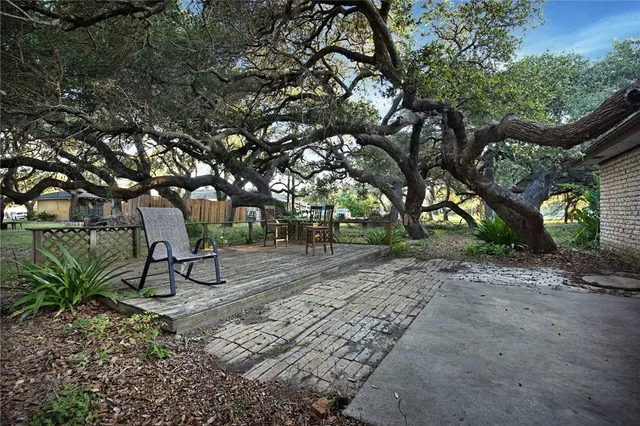 a wooden bench with trees in the background
