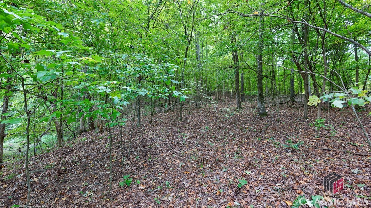 0 Bairdstown Loop Union Point, GA 30669 - Photo 30 of 34
