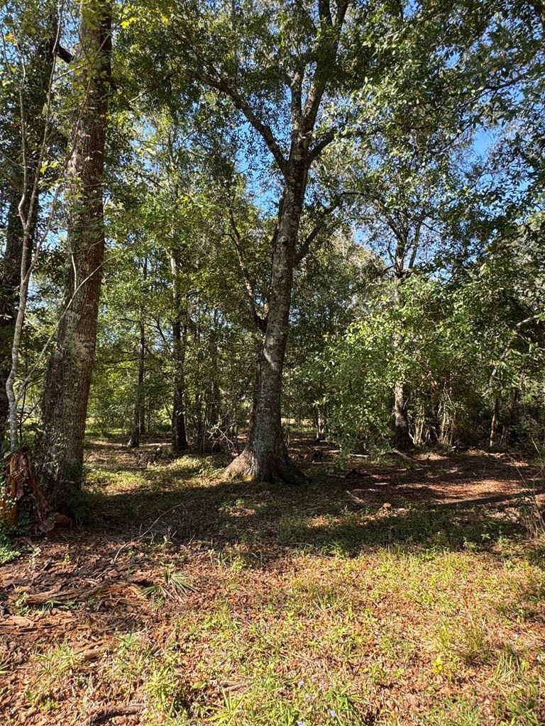 0 Russell Road Samson, AL 36477 - Photo 30 of 32