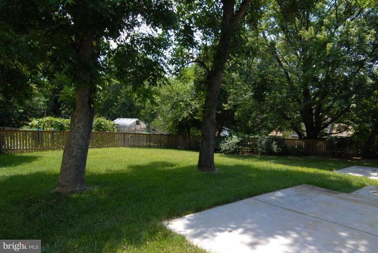 12801 Teaberry Road Silver Spring, MD 20906 - Photo 3 of 18 a view of a yard with a tree