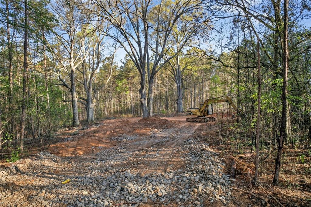 3230 Steadman Road Tallapoosa, GA 30176 - Photo 42 of 52 a backyard of a house with lots of green space