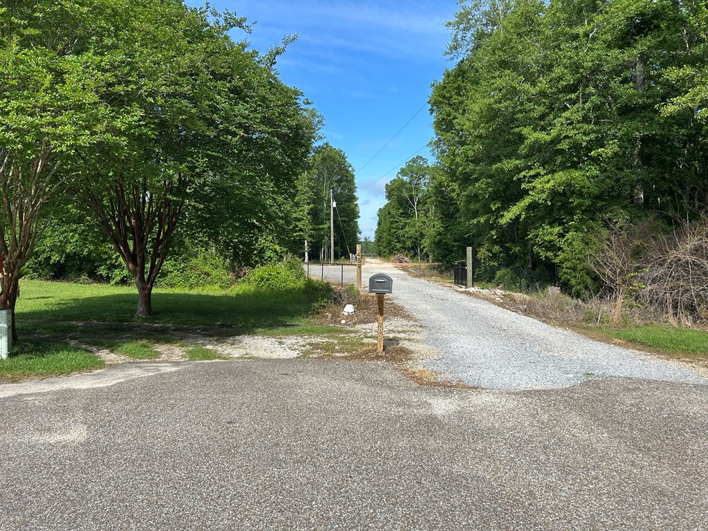 489 Skipper Road Slocomb, AL 36375 - Photo 94 of 96