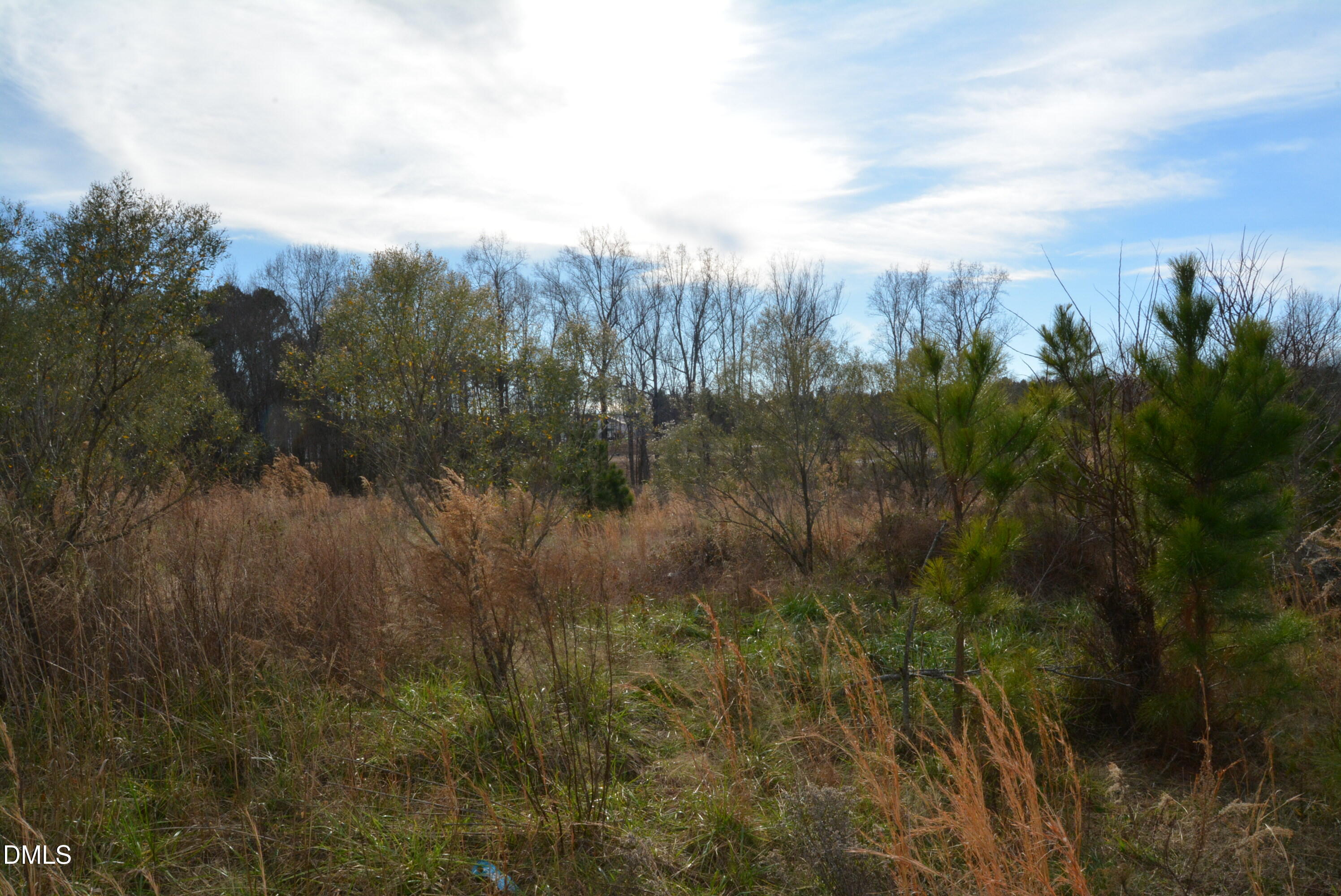 1200 Granite Fls Boulevard Rolesville, NC 27571 - Photo 4 of 13 a view of river covered by trees and buildings