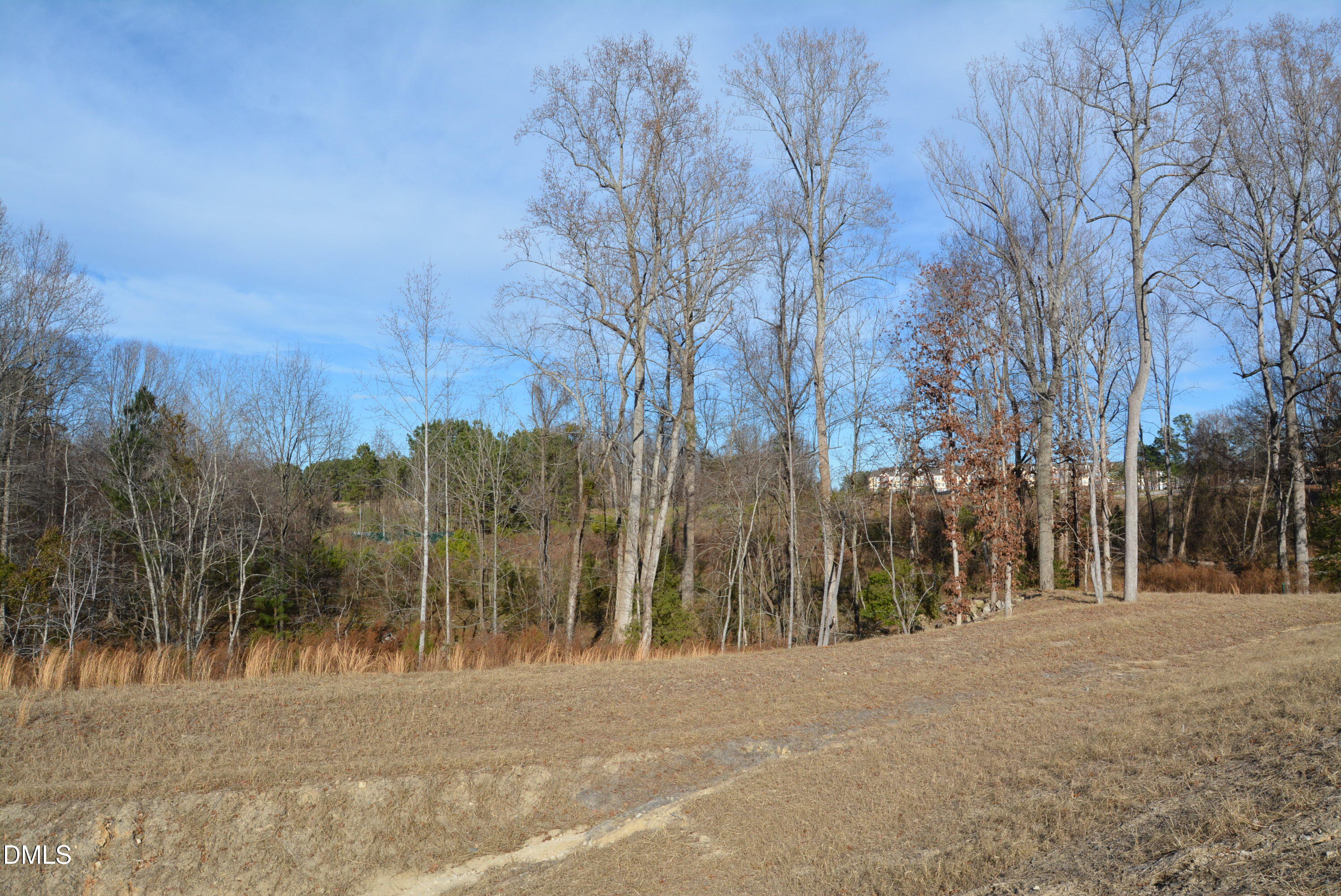 1200 Granite Fls Boulevard Rolesville, NC 27571 - Photo 8 of 13 a view of road with trees