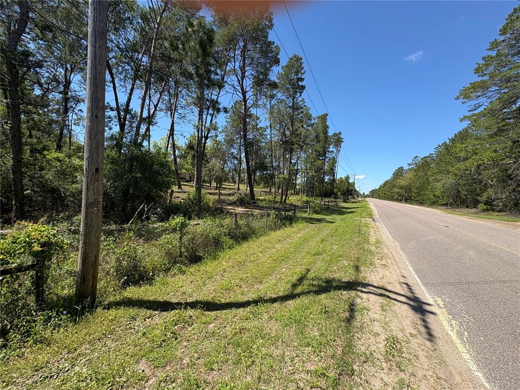 1882 Bellamy Road Florahome, FL 32140 - Photo 4 of 43