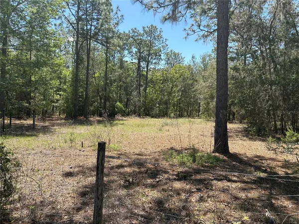 $175,000 | 1882 Bellamy Road, Florahome, FL 32140