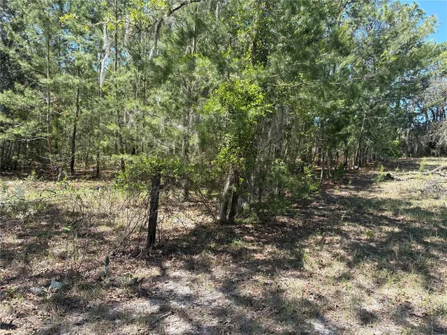 $199,000 | 1882 Bellamy Road, Florahome, FL 32140