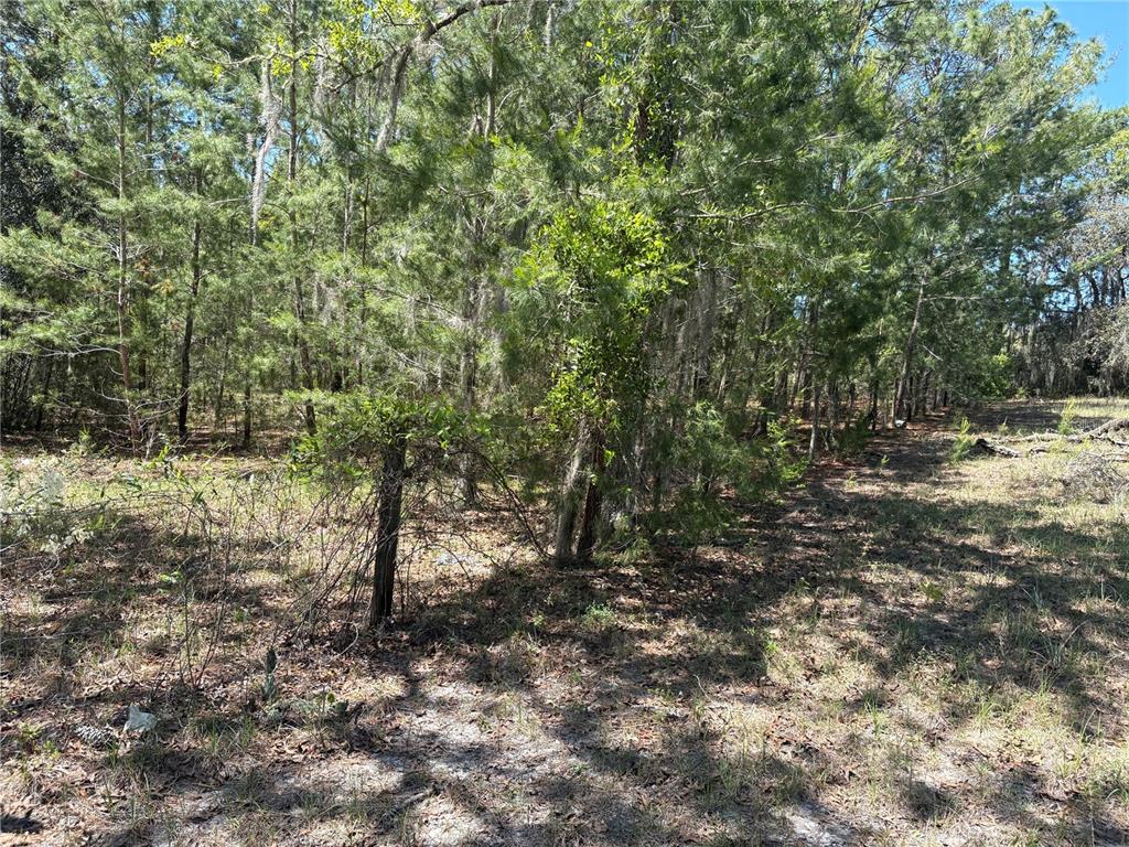 1882 Bellamy Road Florahome, FL 32140 - Photo 42 of 43