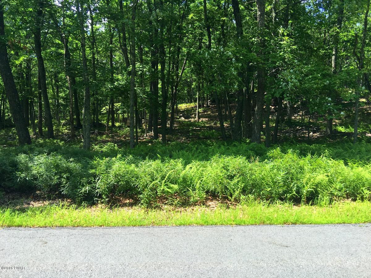 Lot 1127 Perch Road Lackawaxen, PA 18435 - Photo 2 of 8