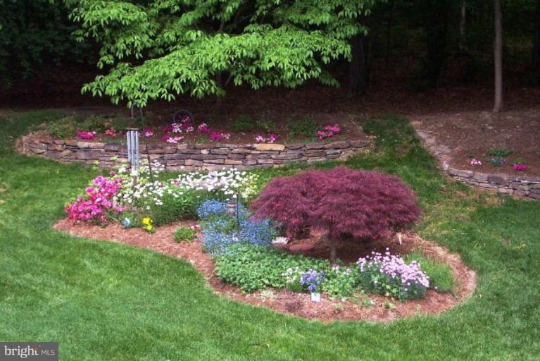 8652 Morning Star Court Springfield, VA 22153 - Photo 17 of 19 Backyard