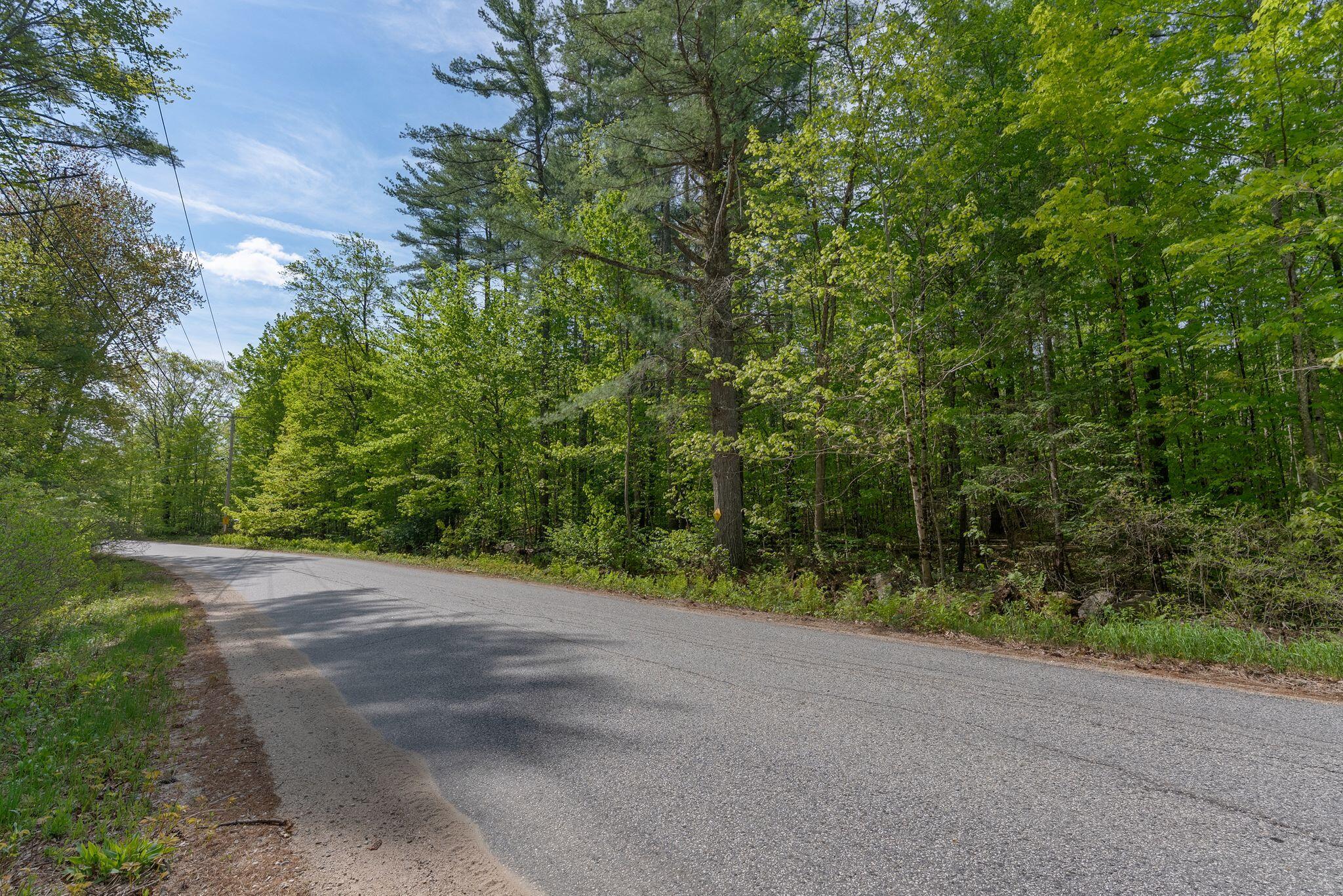 Lot C Shady Nook Road West Newfield, ME 04095 - Photo 1 of 12 1_DSC07871 copy
