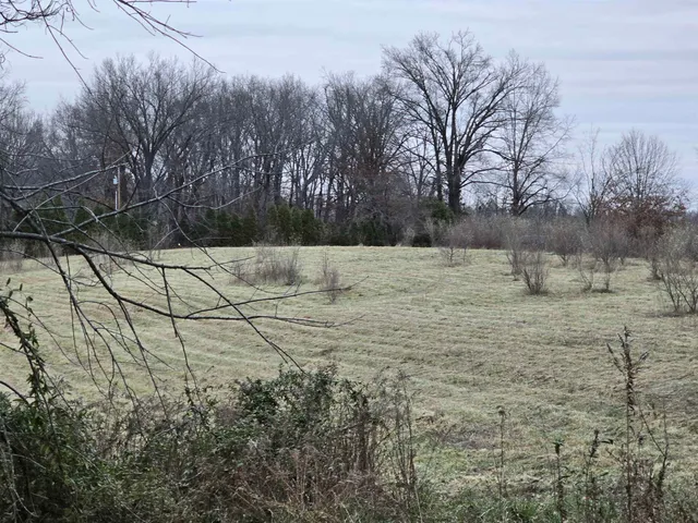 $39,000 | Tbd Old Broughton Road, Eldorado, IL 62930