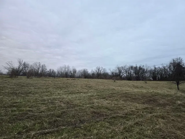 $39,000 | Tbd Old Broughton Road, Eldorado, IL 62930