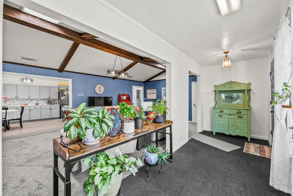 a room with lots of potted plants