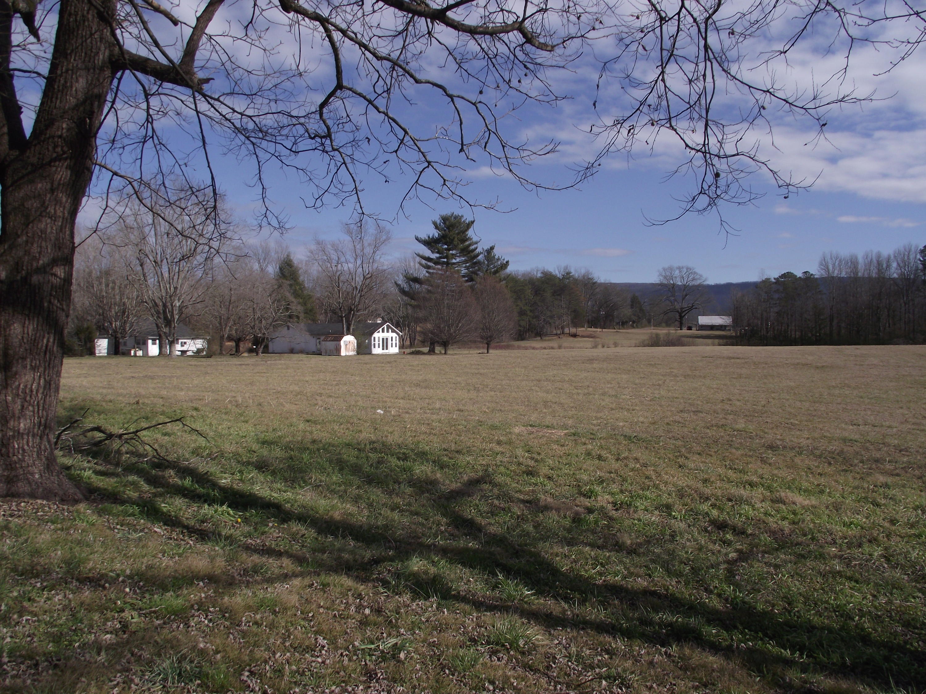 2124 Old Dunlap Road Whitwell, TN 37397 - Photo 10 of 13 Nice yard