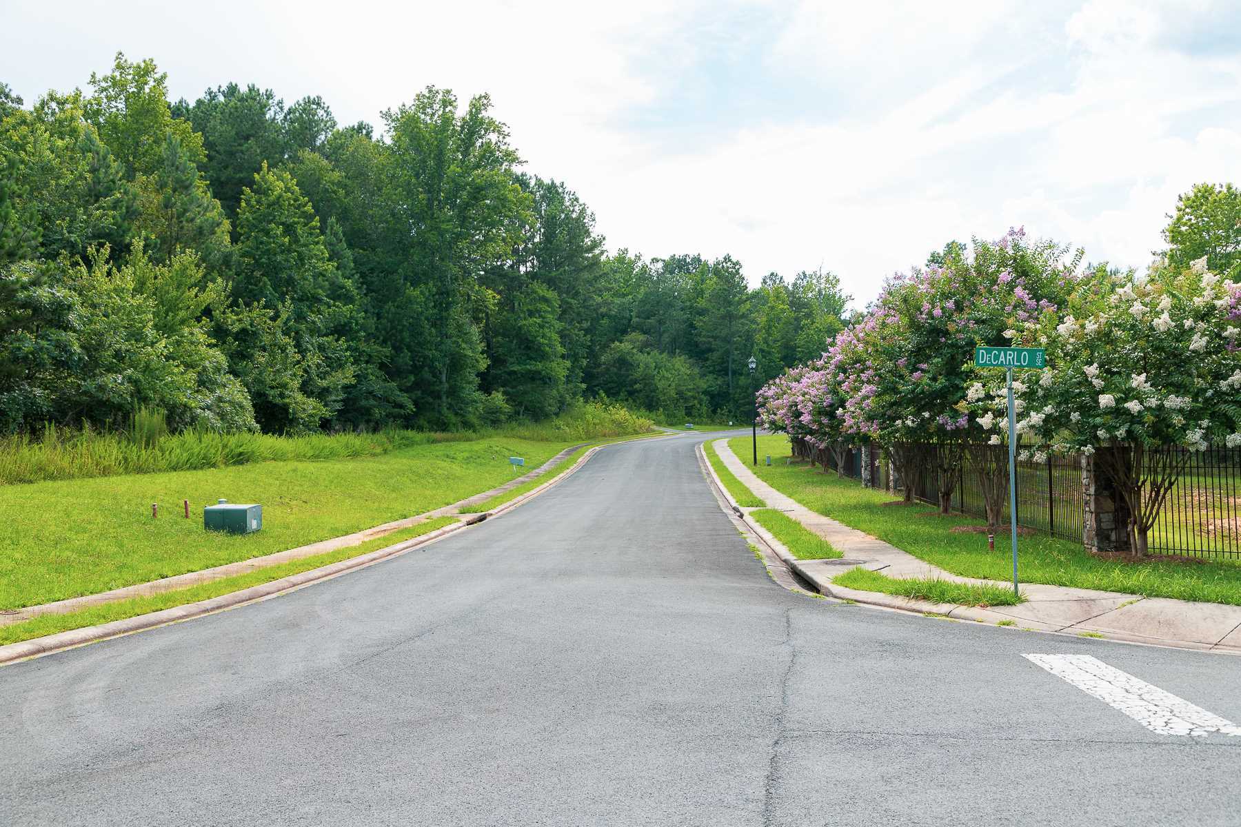 7 Shirley Lane Southeast Rome, GA 30161 - Photo 13 of 27 a view of a park with large trees