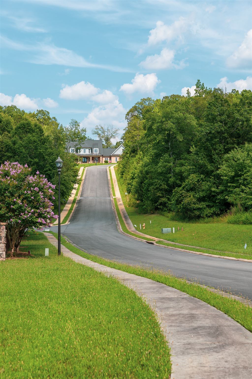 7 Shirley Lane Southeast Rome, GA 30161 - Photo 4 of 27 a view of a yard