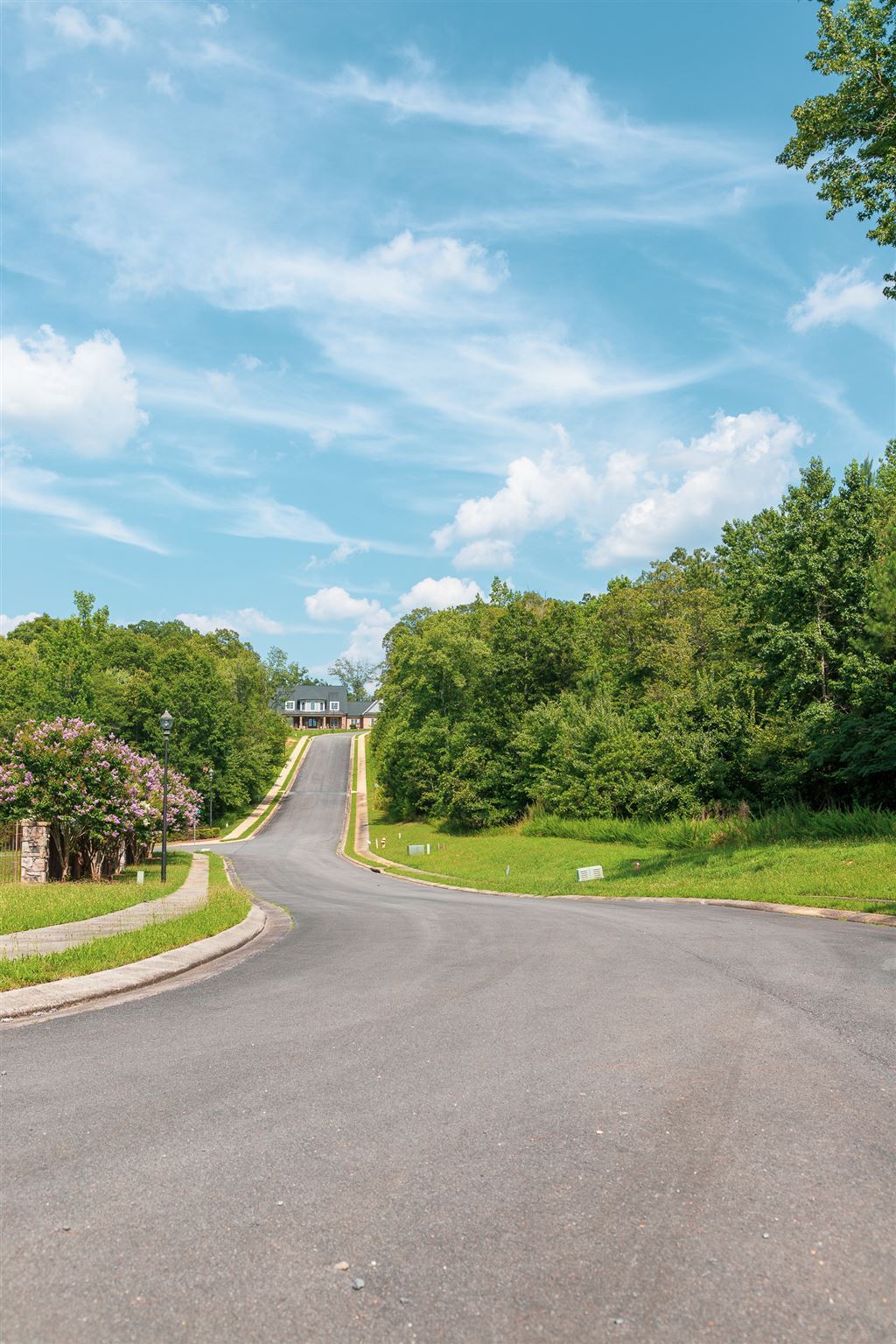 7 Shirley Lane Southeast Rome, GA 30161 - Photo 8 of 27 a view of a big yard with swimming pool and large trees