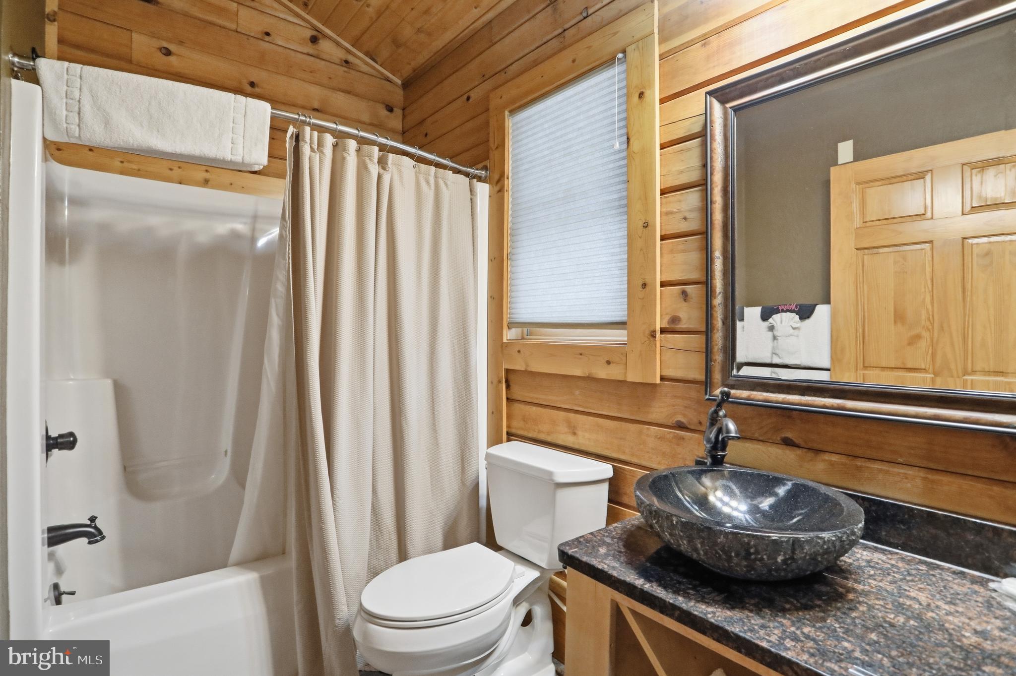 285 Cabin Lodge Road McHenry, MD 21541 - Photo 4 of 9