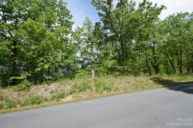 a view of a yard with a tree