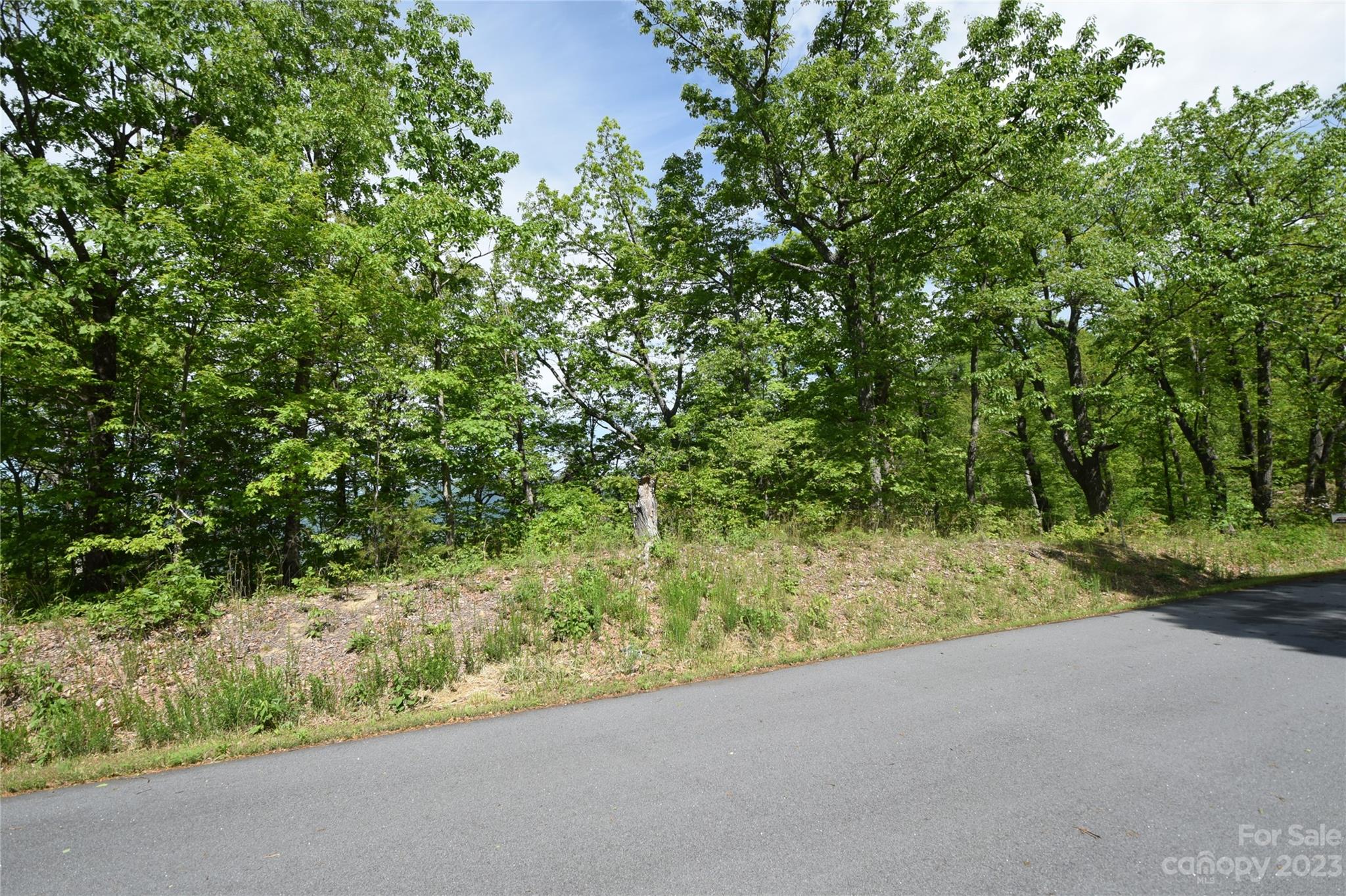 94 Devin Rdg Lane Union Mills, NC 28167 - Photo 11 of 28 a view of a yard with a tree