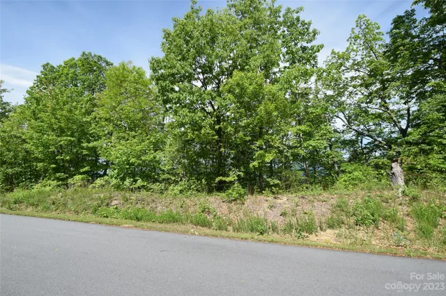 a view of a yard and a street