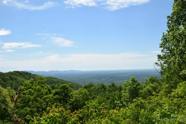 a view of a bunch of trees