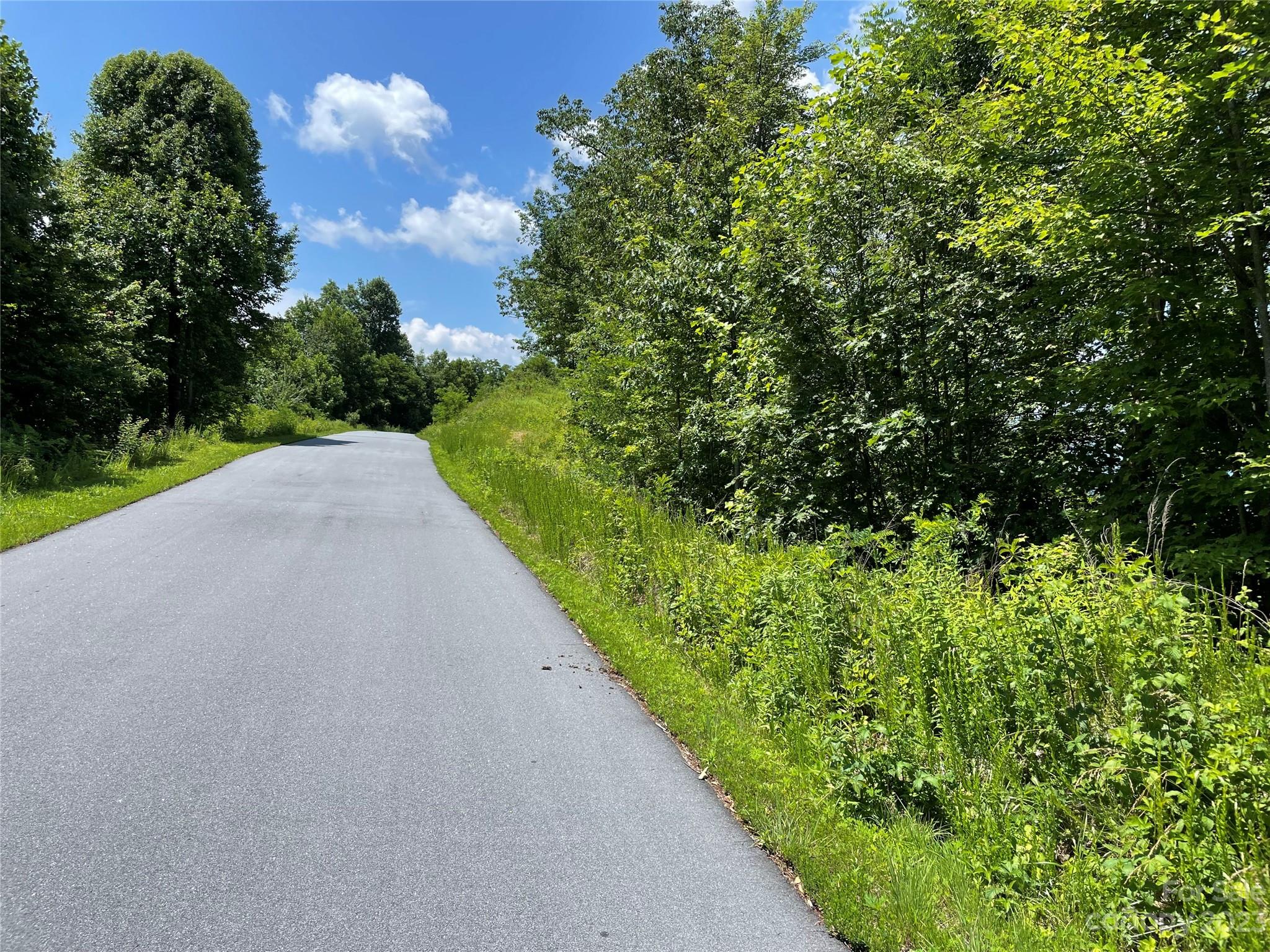 94 Devin Rdg Lane Union Mills, NC 28167 - Photo 17 of 28 a view of a garden